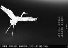 画一只白鹭